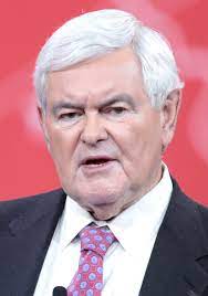 EXCLUSIVE: GOP Could Gain Up to 7 Seats in Senate, 50 Seats in House, Gingrich Says