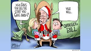 The Dumpster Fire Omnibus Bill Goes From Bad to Worse in Mind-Numbing Ways