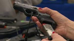 Democrats in Lansing, with narrow control of the state legislature, muscled through a raft of anti-gun measures on Thursday.