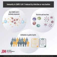 All Vaccines Perform Worse Than Natural Immunity Against COVID: Systematic Review and Meta-Analysis