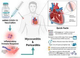 Why the Body Attacks Itself After COVID-19 Vaccination