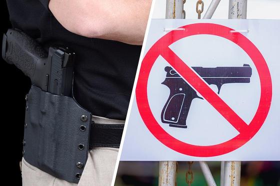 Federal judge rules new NJ gun laws as partly 'unconstitutional'