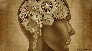 Philosophical Theories In Daily Life