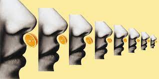 Millions Don’t Regain Senses of Smell and Taste After COVID: Clinicians Share Validated Approaches