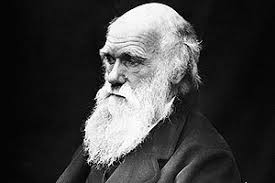 The Darwinian Process