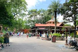 Disney Crowd Sizes ‘Shockingly Low’ Amid Backlash