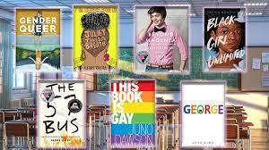 Graphic Sex Book Could Leave Kids Vulnerable to Paedophiles: Experts