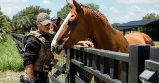 IN-DEPTH: Florida Horse Owners Fear Black Market Slaughterers Who Come in the Night for Highly-Prized Meat