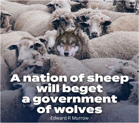 Sheep vs Wolves
