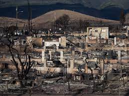 Maui Fire May Have Been Caused by Power Grid Malfunctions: Report