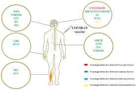 Nearly 1 in 3 COVID-19 Vaccine Recipients Suffered Neurological Side Effects: Study