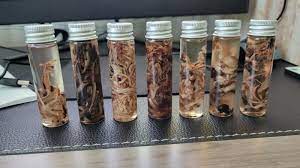 Some Embalmers Say White, Fibrous Clots Showing Up; Others Say It's a Conspiracy Theory