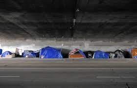 Decade-Long Homeless Encampment Under Freeway Overpass Cleared in Los Angeles