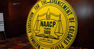 Illinois NAACP President Facing Calls to Step Down After Referring to Immigrants as ‘Savages’, Home Invaders
