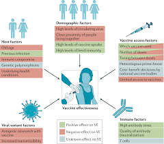 A Host of Notable COVID-19 Vaccine Adverse Events, Backed by Evidence