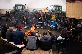 Farmers in Eastern and Southern Europe Protest Against EU Agricultural and Climate Policies