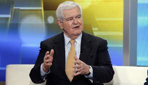 Republicans Must Outvote Democrats by 5 Percent to Ensure Election ‘Can’t Be Stolen’: Newt Gingrich