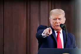 High-Class ‘Trumpettes’ Hail Trump as Only Man Who Can Fix US Problems