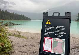 Invasive Species Lead to Access Restrictions in BC, Alberta National Parks