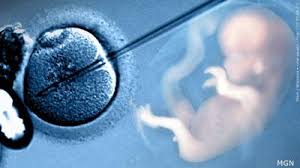 Alabama Governor Signs Bill That Shields IVF Providers From Legal Liability