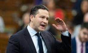 NDP MP Says People Afraid to Go Downtown