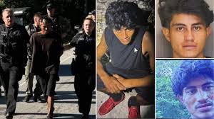 Teen Girl at Baseball Game Randomly Stabbed by Previously Deported Illegal Migrant