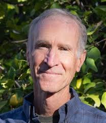 Arizona State Senate Candidate Killed in a Car Crash